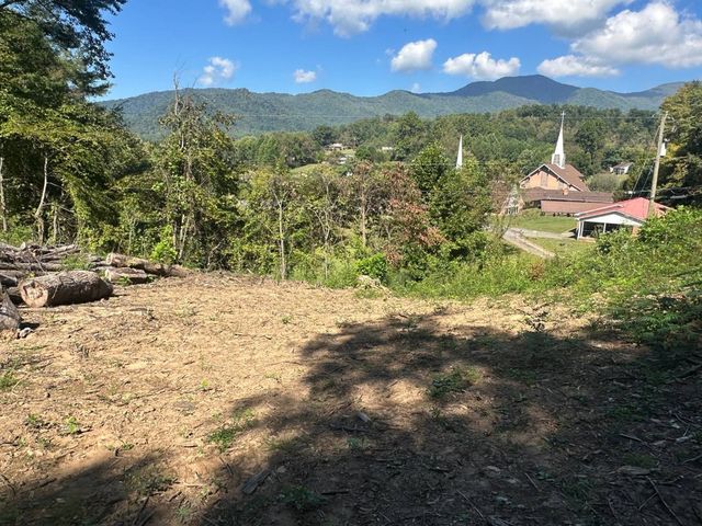 Cleared pad with the mountain view beyond