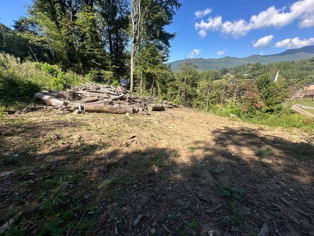 Cleared pad with cut timber stacked at its edge