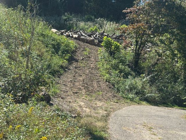 Dirt drive cut up from the paved road