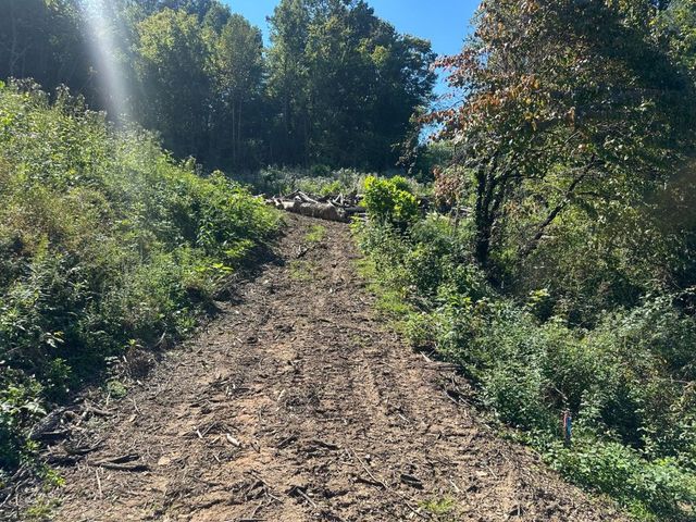 Dirt drive leading up to the pad