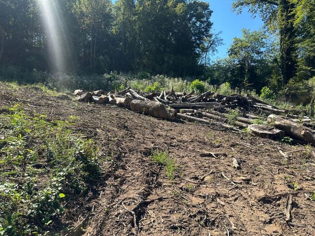 Cut timber stacked along the pad
