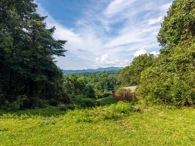 Open hillside with a mountain view