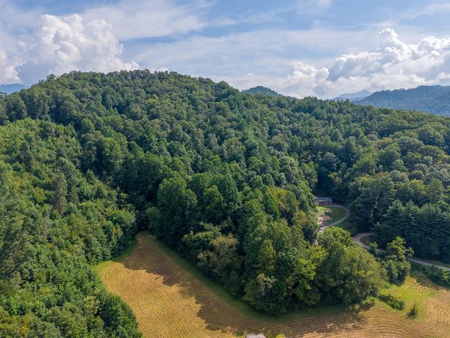 Aerial view over the wooded hills toward the mountains