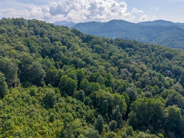Aerial view over the wooded hills toward the mountains
