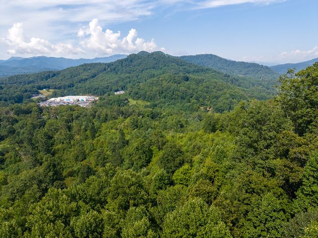 Aerial view over the wooded hills toward the mountains
