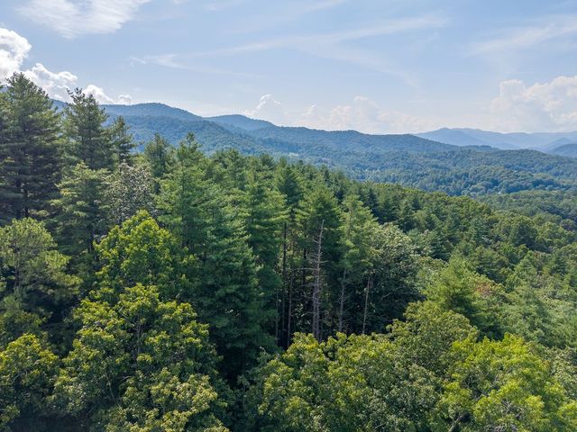 Aerial view over the wooded hills toward the mountains