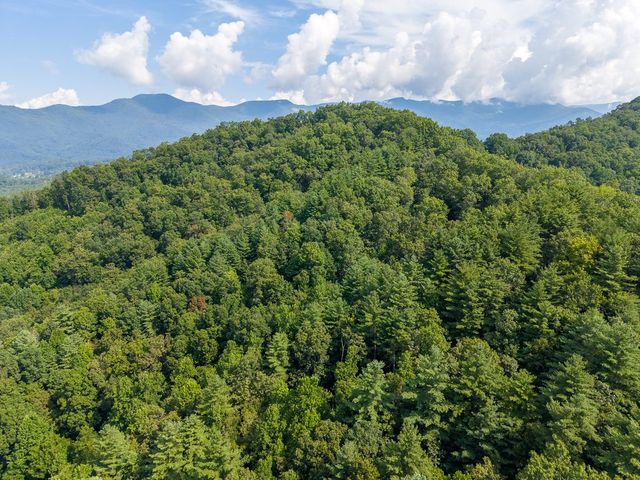 Aerial view over the wooded hills toward the mountains