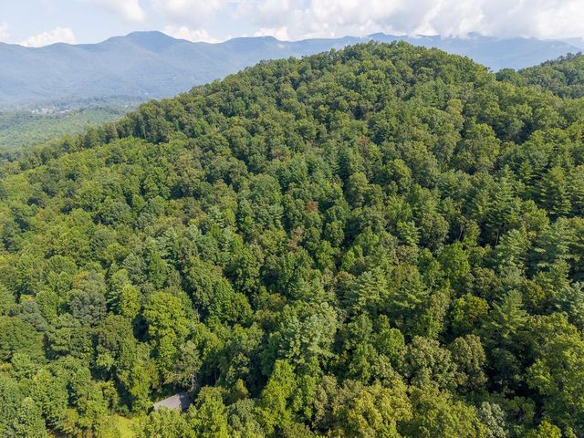 Aerial view over the wooded hills toward the mountains
