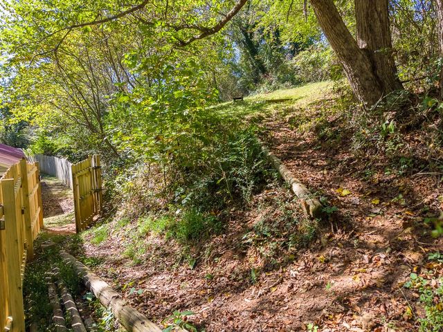 Wooded slope beyond the backyard fence