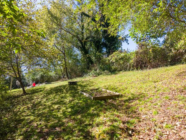 Grassy upper yard under the trees