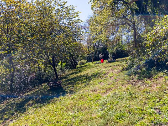 Upper yard on the slope