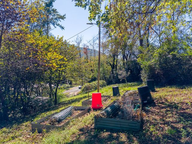 Raised garden beds in the upper yard
